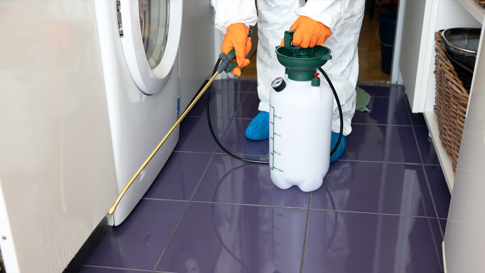 A pest removal professional sprays inside a laundry room