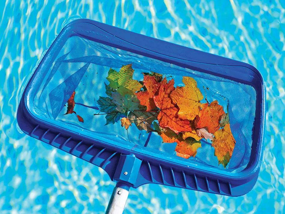 A pool skimmer with multicolored leaves in its net resting atop blue pool water