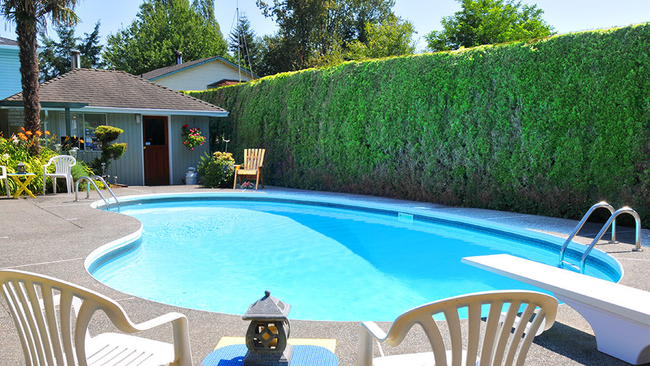 A privacy hedge guards the right side of a blue pool with chairs near it on both sides 