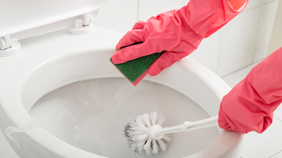 Pink gloved hands use a sponge and a toilet brush to clean the toilet
