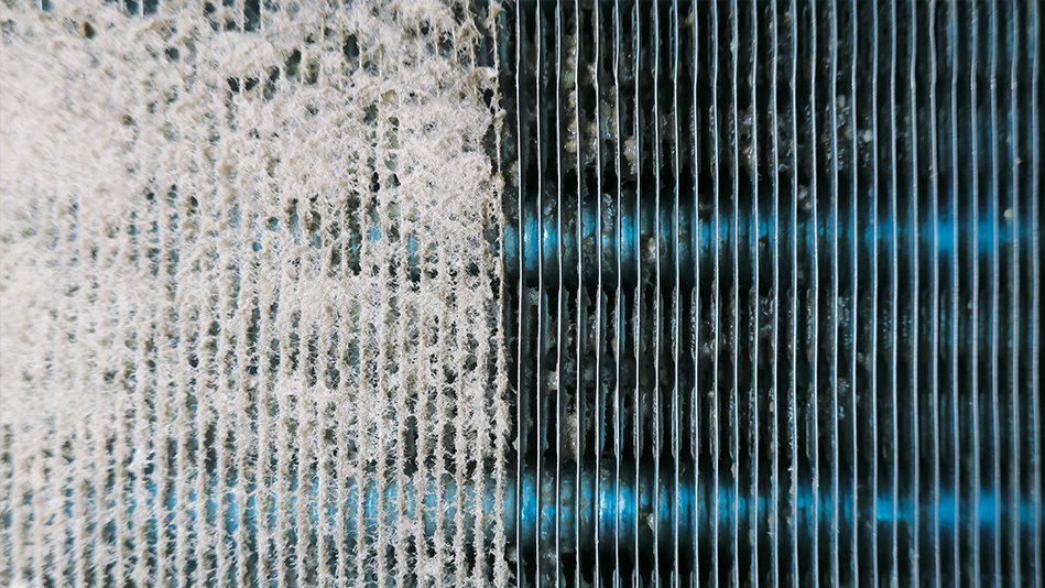 A filter screen with 2 rows of blue light behind it that is full of debris on the left side and has minimal debris on the right side