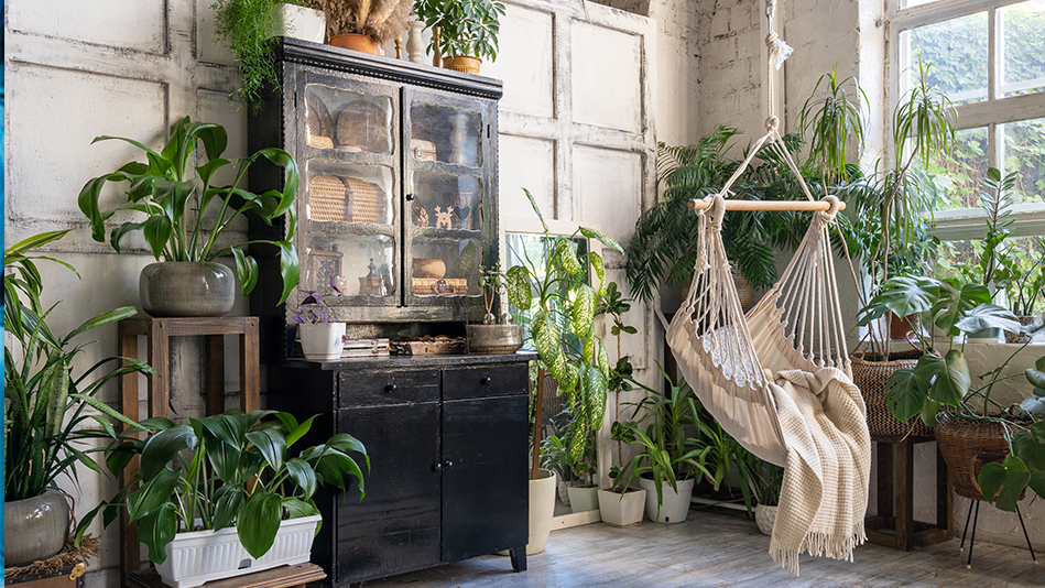 A white-walled, sunlit converted loft full of green houseplants with a tan hammock hanging in the room's center
