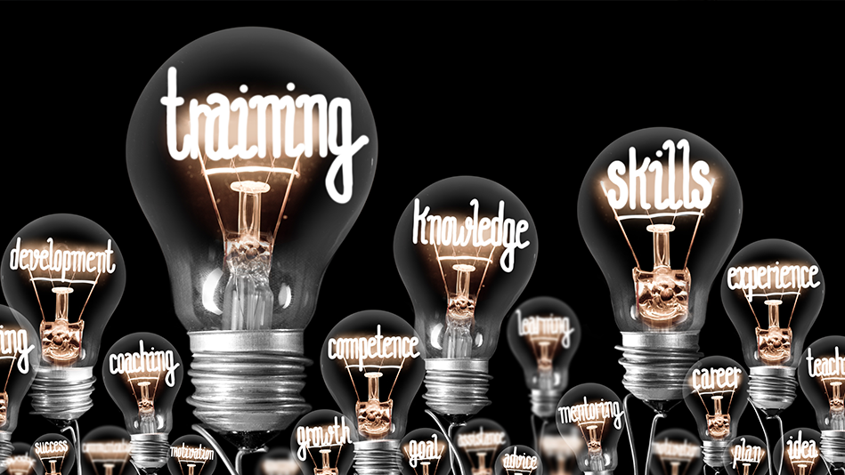 Lightbulbs shine with a variety of words in the coils, such as training, knowledge, and skills