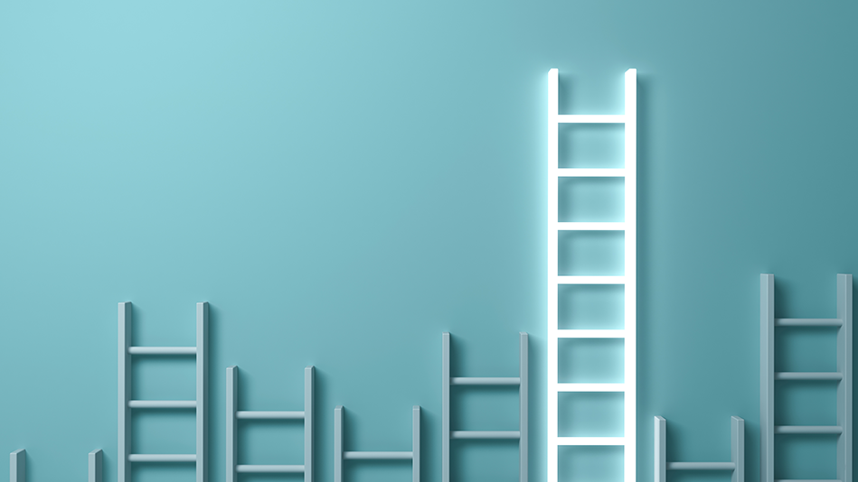 Various grey ladders reach different heights with one white ladder reaching higher than the rest
