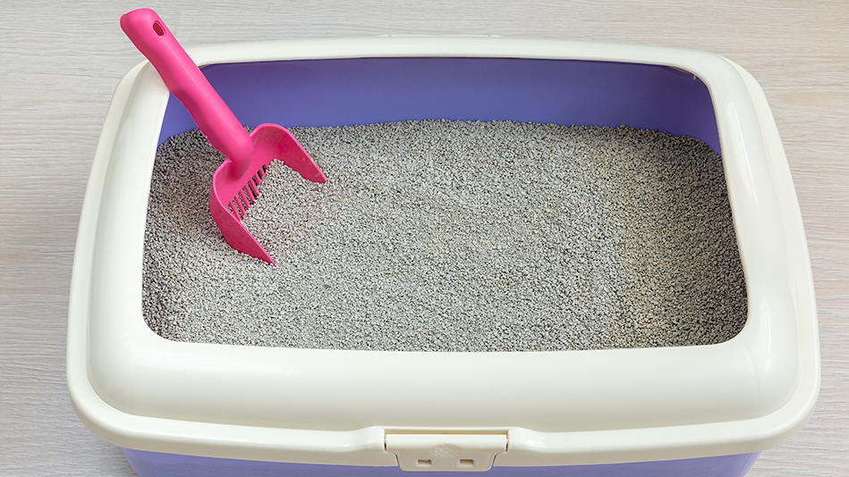 A pink litter scoop sits inside some kitty litter
