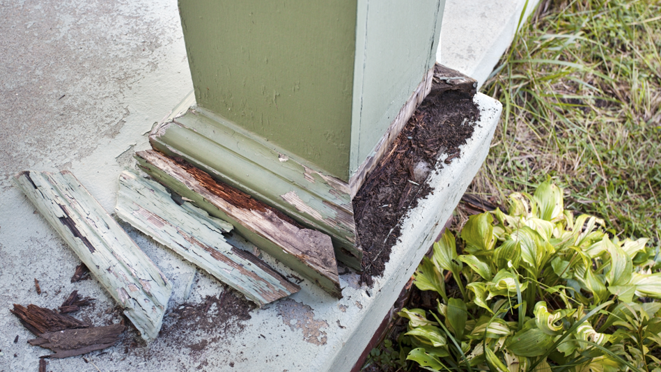 A sage green wooden pillar fused to a concrete patio is falling apart