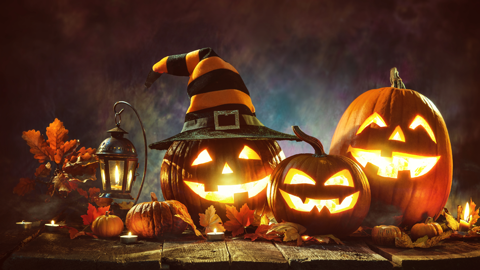 A line of carved jack-o-lanterns and other halloween decorations