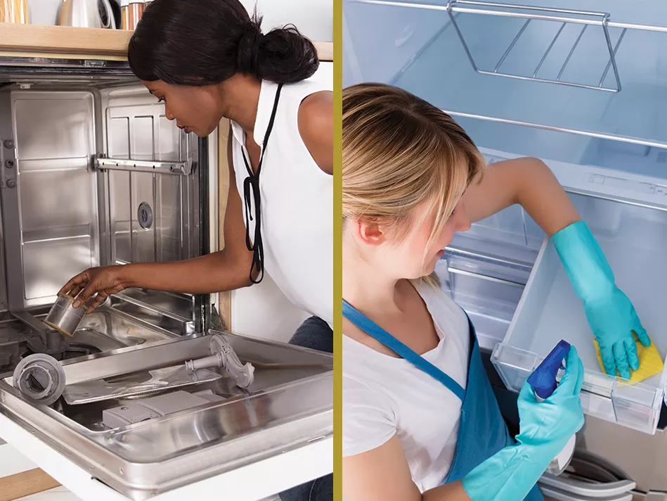 Black woman taking apart a dishwasher and white woman cleaning a refrigerator bin