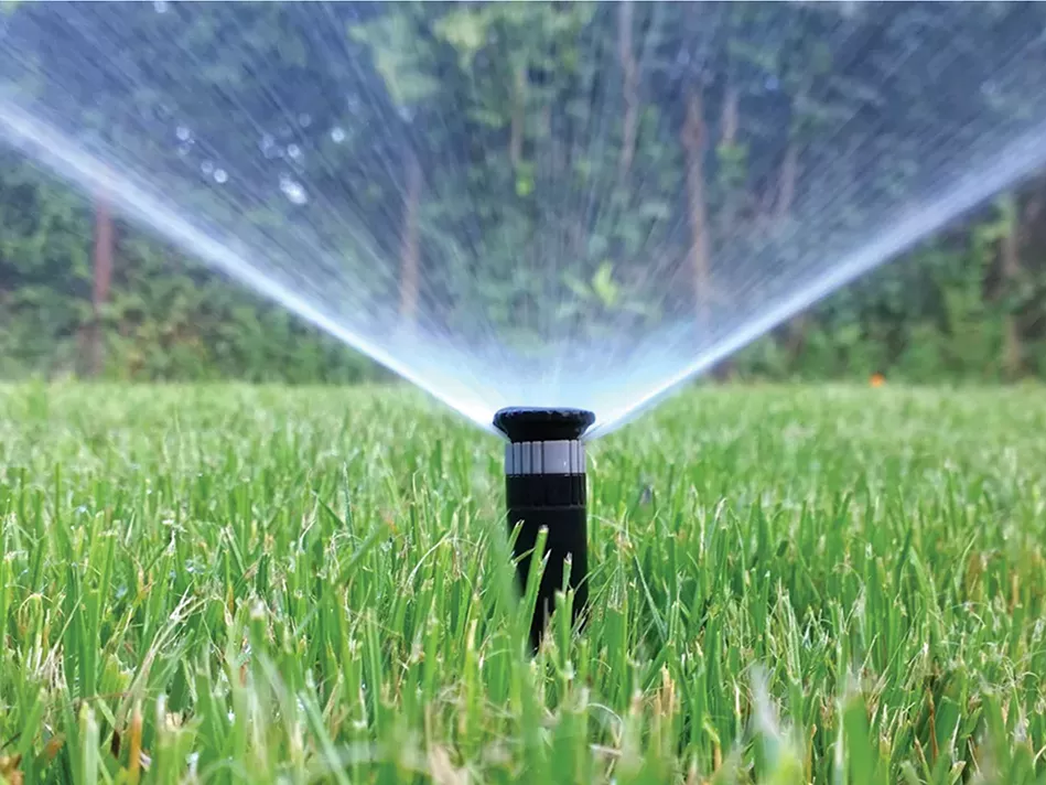 A sprinkler head sprays water onto green grass